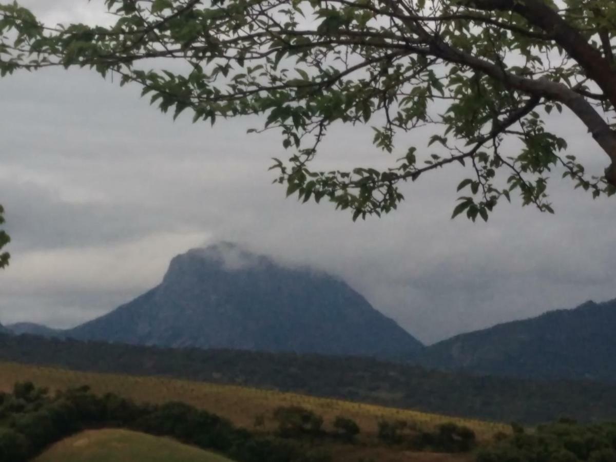 Los Tres Picos Prado Del Rey Exterior foto